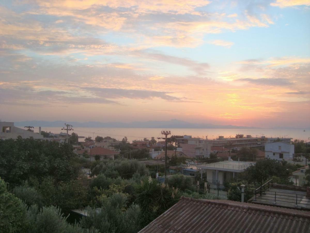Вілла Smile House Near Athens Airport 300M From The Sea Артеміда Екстер'єр фото