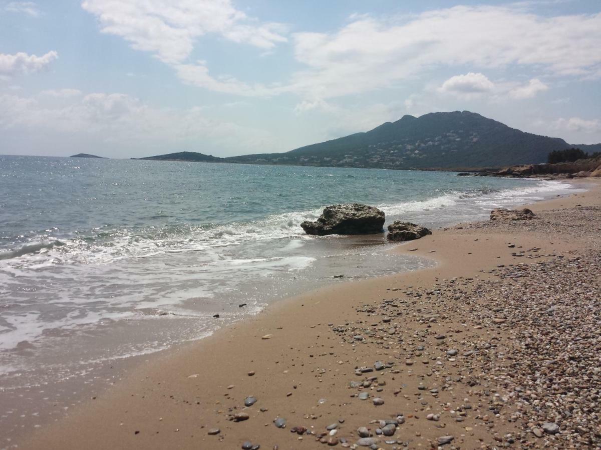 Вілла Smile House Near Athens Airport 300M From The Sea Артеміда Екстер'єр фото