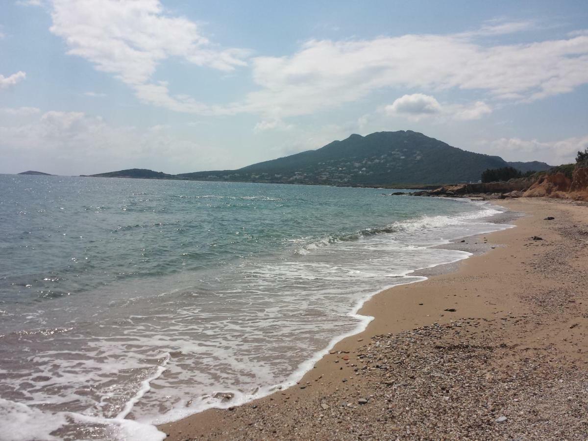 Вілла Smile House Near Athens Airport 300M From The Sea Артеміда Екстер'єр фото